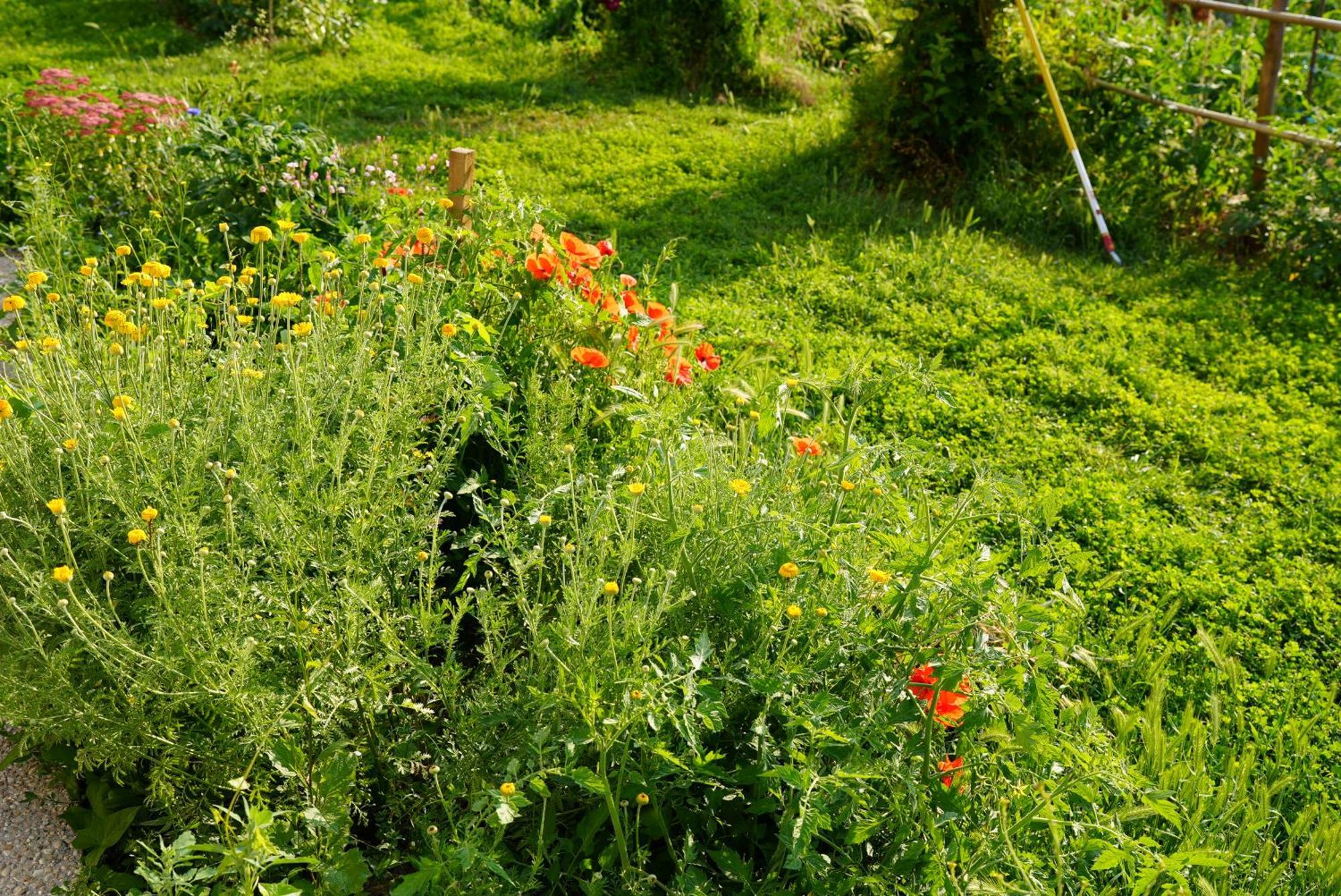 PosesLes Jardins De Felicie别墅 外观 照片