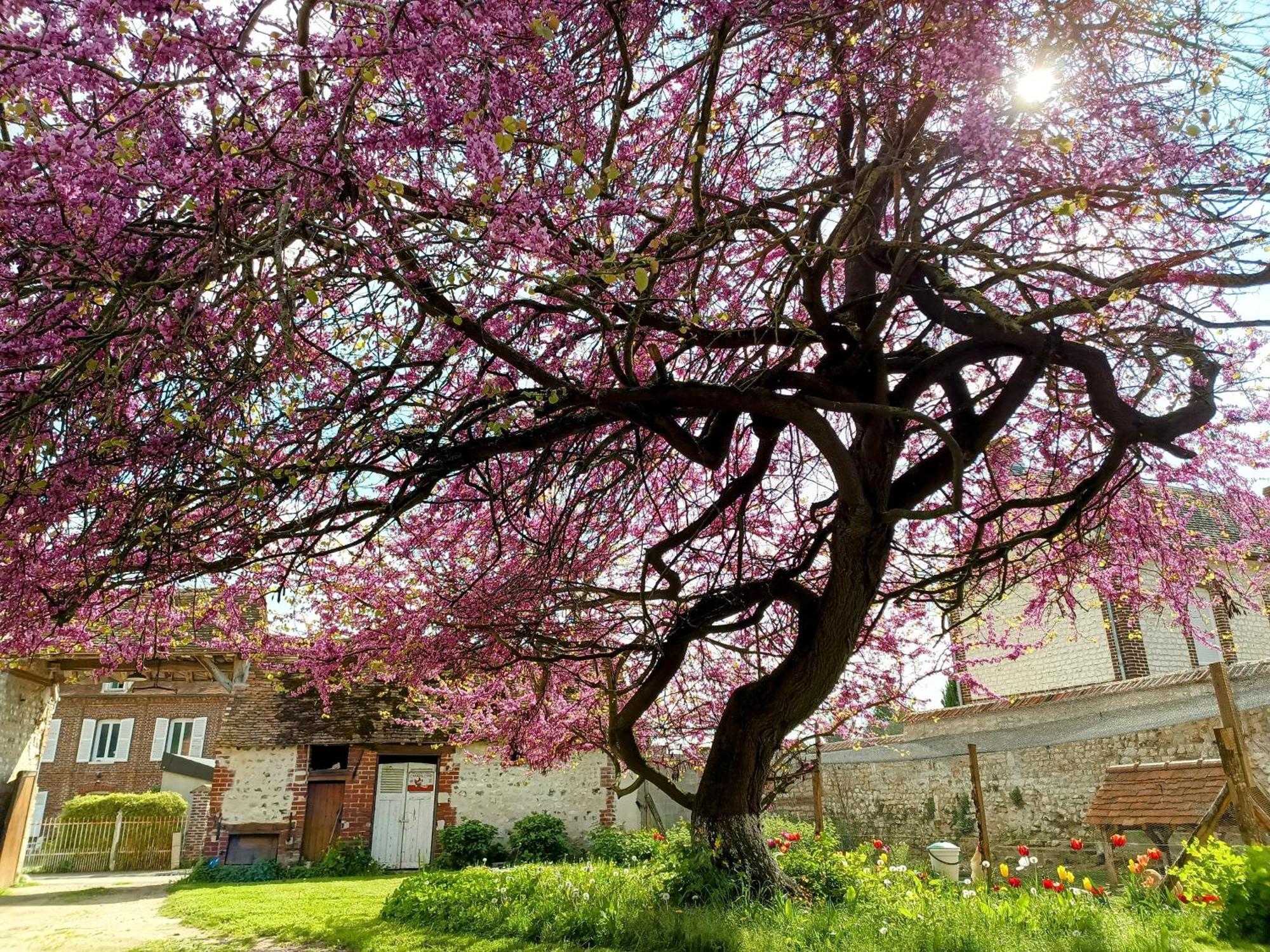 PosesLes Jardins De Felicie别墅 外观 照片
