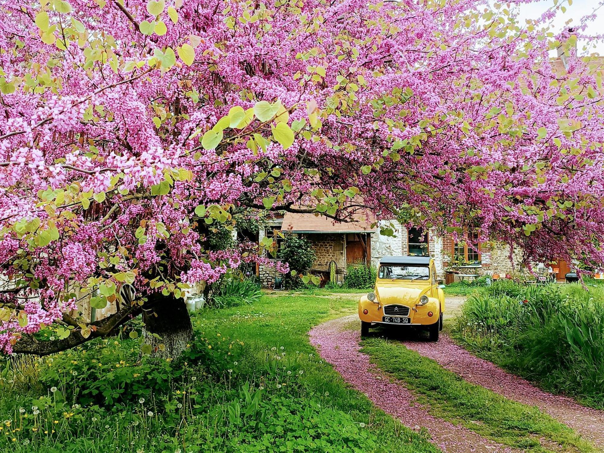 PosesLes Jardins De Felicie别墅 外观 照片